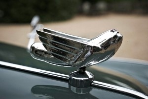 Photo: Hendrick´s Gin