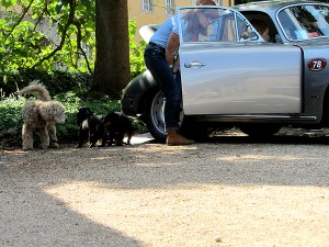 Classic Days 2015 - KlassikAuto Berlin